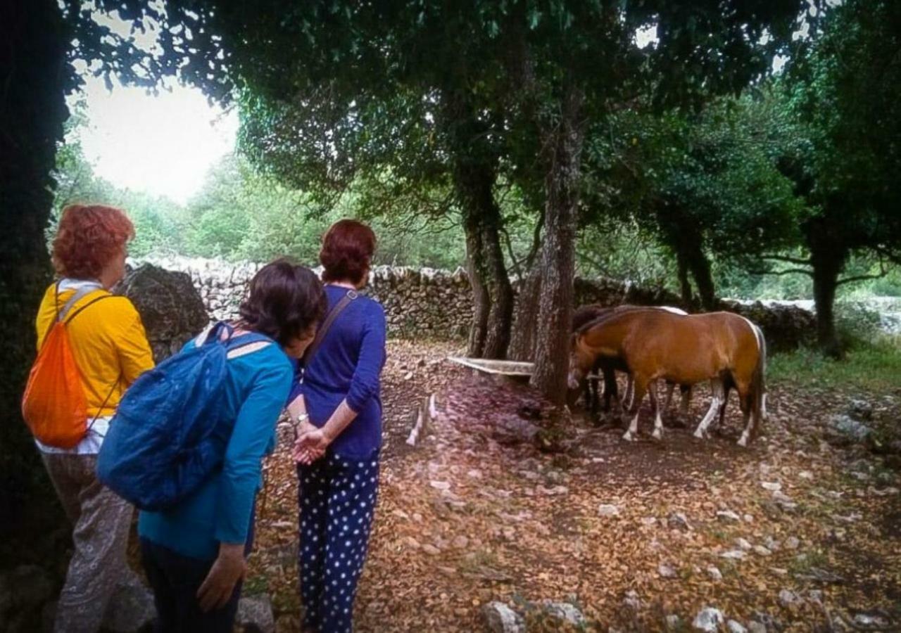 Trullo Barratta Villa Martina Franca Kültér fotó